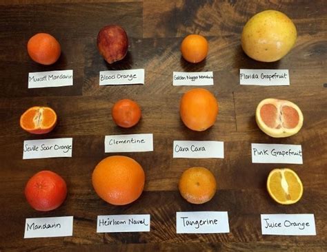 How to Differentiate Between Orange Citrus Fruits Next Time You’re at the Supermarket