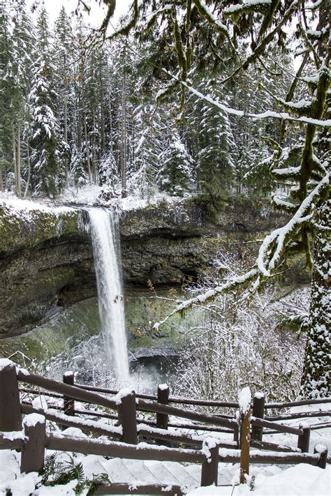 Silver Falls State Park, Oregon | Silver falls state park, Oregon ...