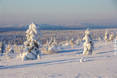 Snow | Film Lapland