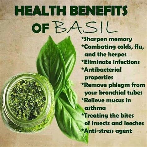 Google+ | Basil health benefits, Health, Health remedies