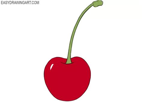 How to Draw a Cherry - Easy Drawing Art