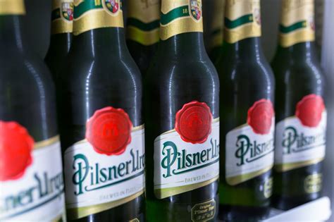 Pilsner Beer Guide - A Light And Bright Drink For Everyone