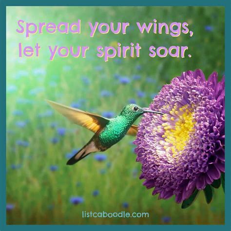 Hummingbird Quotes and Captions That Will Have You Humming