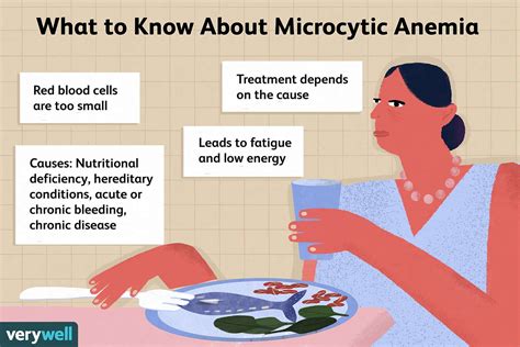 What You Should Know About Microcytic Anemia (2022)