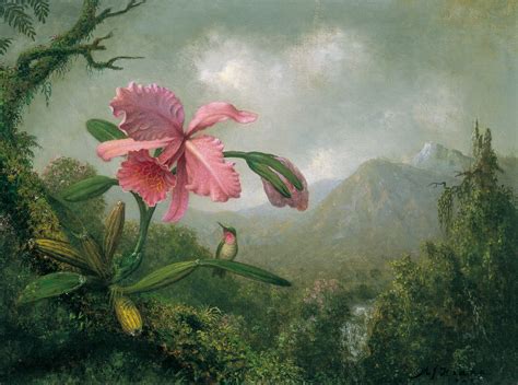 Orchid and Hummingbird near a Mountain Waterfall - Martin Johnson Heade ...