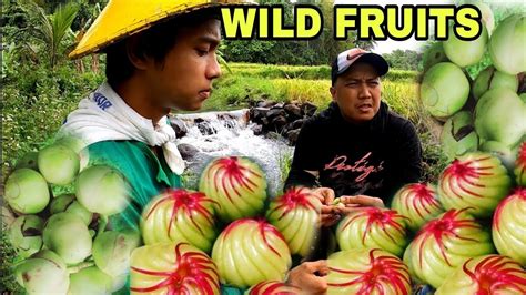 EP-602 LIBRENG PRUTAS SA GUBAT WILD FRUITS CATMON - YouTube