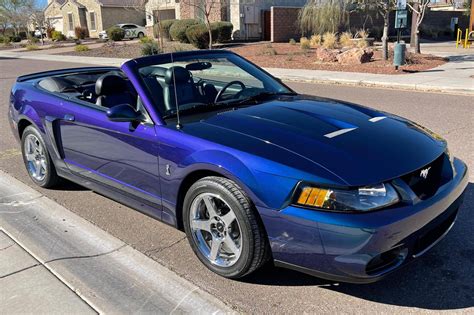 2004 Ford Mustang SVT Cobra Convertible for Sale - Cars & Bids