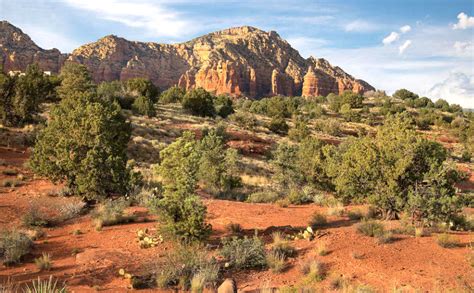 Sedona Vortex Adventures Ridge Trail Tour - Sedona Vortex Adventures