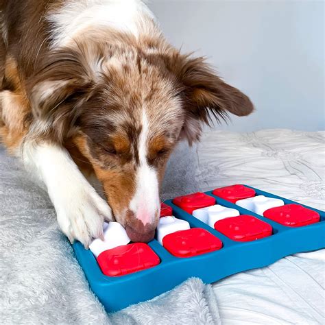 Top 10 interactive puzzle toys for german shepherds - German Shepherd Training Info