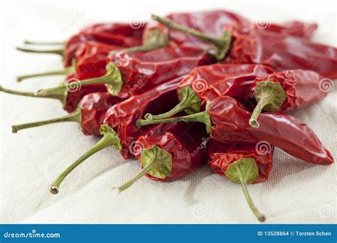 Dried Chili Peppers stock photo. Image of peperoncino - 13528864