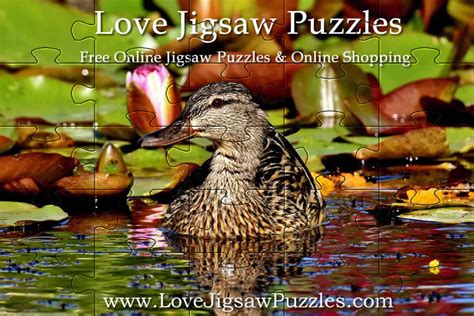 Daily Jigsaw - Free Jigsaw Puzzles