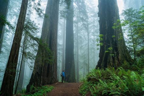 10 Best Landscape and Scenic Photos of 2017 | Clint Losee Photography