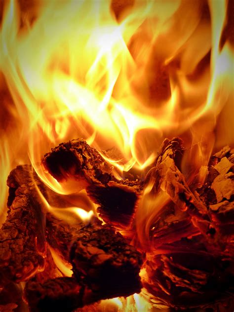 Free Images : flame, fireplace, campfire, bonfire, heat, burn, hot, embers, wood fire ...