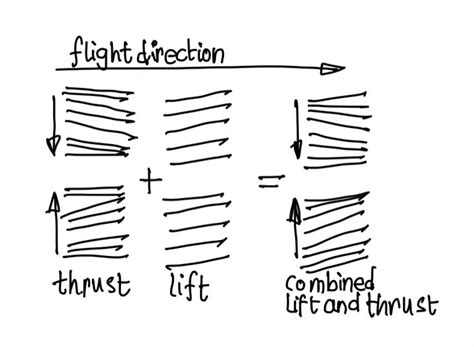 Bird Flight – Extreme Aerodynamics – JUSTAROCKETSCIENTIST.COM