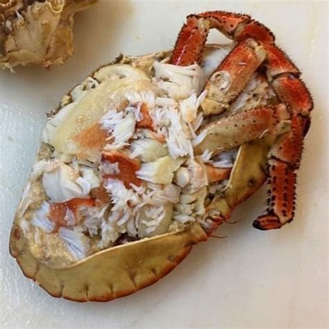 Brown crab meat 454g – Ocean Catch Fishmongers