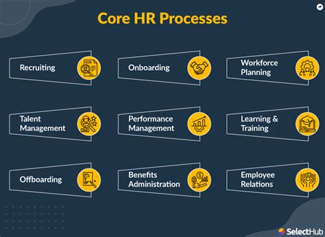 Human Resources (HR) Processes | 2024 Ultimate Guide