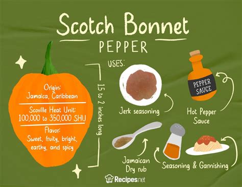 Scotch Bonnet: What Is It and How to Use for Cooking - Recipes.net