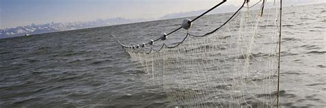 Fishing Net Size Chart – All Fishing Gear