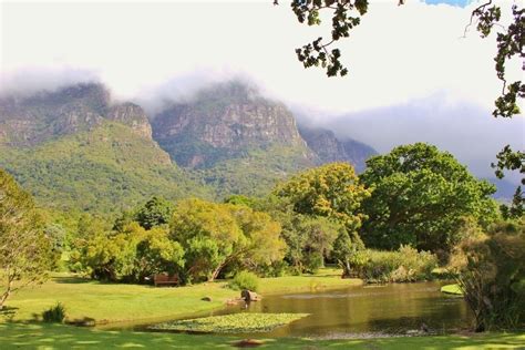 Visiting Kirstenbosch Botanical Garden in Cape Town - Jetsetting Fools