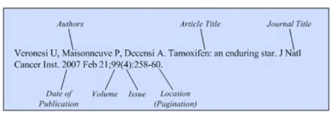 What You Should Know About The Vancouver Referencing Style - Content ...