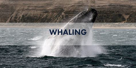 Whaling