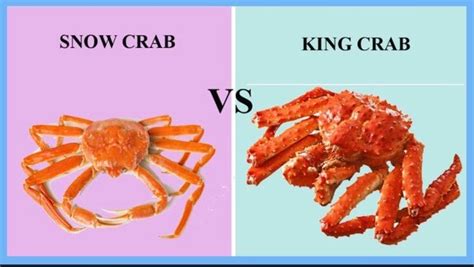 Snow Crab Legs Vs King Crab Legs