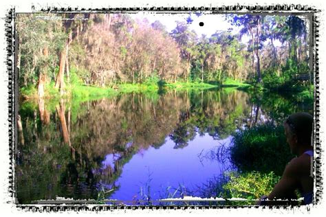 Day of fishing...Clermont, FL Chain of lakes | Clermont, Lake, Favorite places