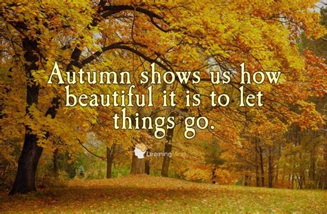 Autumn shows us how beautiful it is to let things go | Life quotes ...