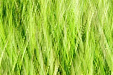 Grass Pattern 3 Photograph by Kathy Paynter | Fine Art America