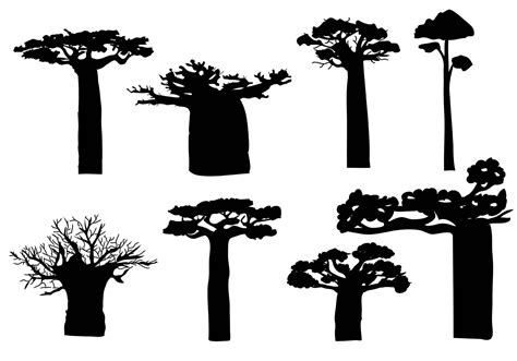 Free Baobab Silhouete Vector | Baobab, Baobab tree, Vector art