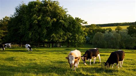 British Farms English Countryside Wallpapers - Wallpaper Cave