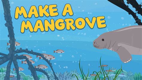 Games : Make a Mangrove . PLUM LANDING | PBS KIDS