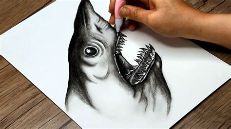 How to Draw a Realistic Shark Step by Step | Shark Head Sketch | Pencil Drawing - YouTube