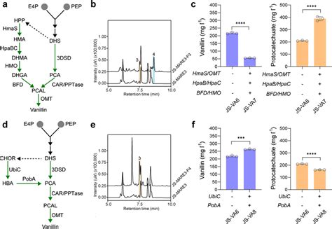 Dual synthetic pathway for enhanced vanillin synthesis in yeast. a... | Download Scientific Diagram