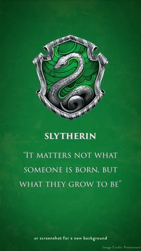 Pottermore Sorting: Sorting Hat Analysis and Meta | Slytherin, Slytherin harry potter, Harry ...