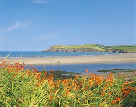 Explore Cardigan Bay Beaches - Cardigan Holidays - Brongwyn Holidays ...