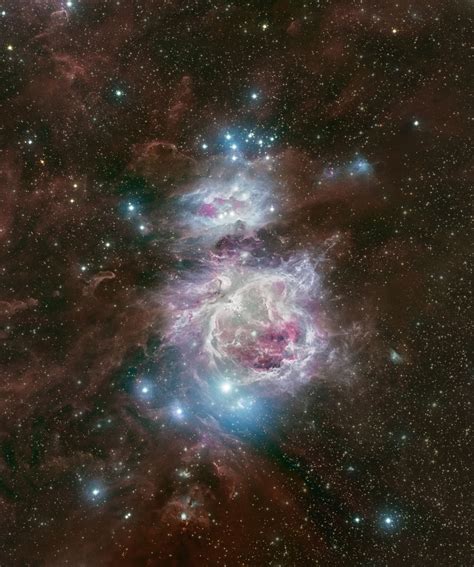 Orion Nebula | Telescope Live