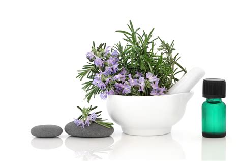 Rosemary leaves - Herbal Oil - Uses - Medicinal values - Health ...