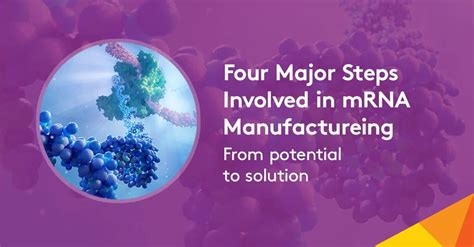 Four Major Steps Involved in mRNA Manufacturing - Aldevron Thought ...