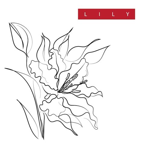 Premium Vector | Lily abstract art
