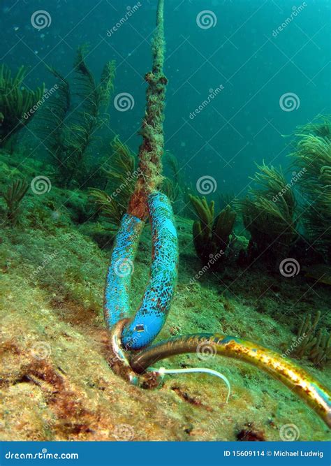 Underwater Cable Stock Images - Image: 15609114