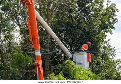 322 Tree Trimming Power Lines Images, Stock Photos & Vectors | Shutterstock