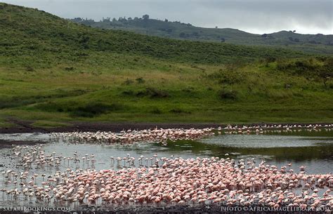 Arusha National Park – Travel Guide, Map & More!