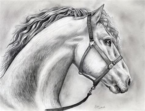 Horse Drawing By Kerrie by kerriejohnson on DeviantArt