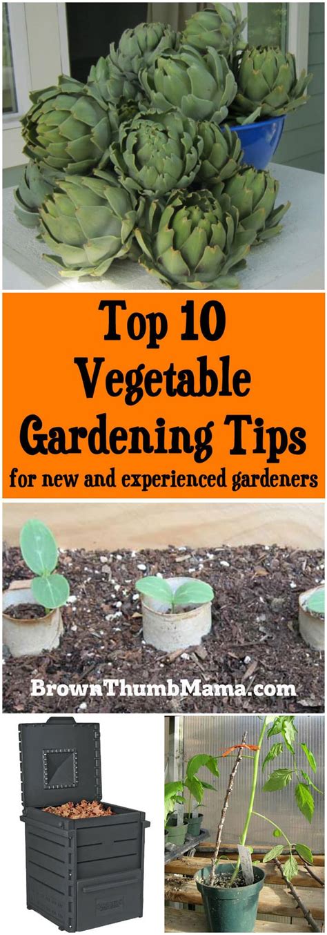 Top 10 Vegetable Gardening Tips for New & Experienced Gardeners • Brown ...