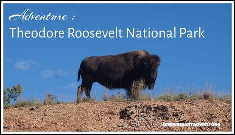 Theodore Roosevelt National Park