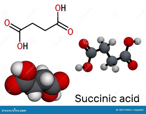 Succinic Acid, Butanedioic Acid, C4H6O4 Molecule. It Is Food Additive E363.The Anion, Succinate ...