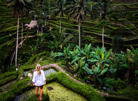 16 Best Things to do in Ubud, Bali