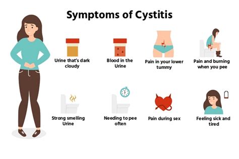 Understanding Cystitis: Symptoms, Causes, And Treatment - Ask The Nurse Expert