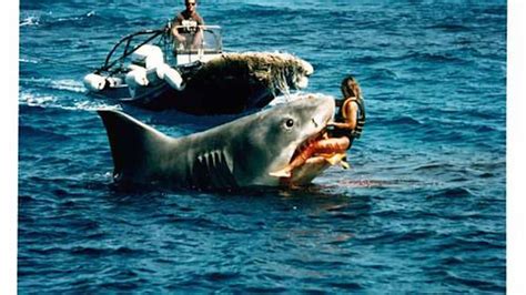 Australia’s Great White Crisis: New documentary by Discovery Channel ...